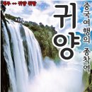 푸른항공여행사 이미지