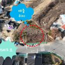 선산대로 이미지