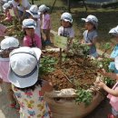 중동사랑어린이집 이미지