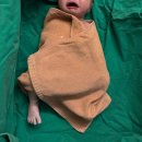 150번 배출장 | 꿀떡아 엄마아빠 빨리 만나고 싶었구나! 겁쟁이 자연분만 출산기록🤰🏻(36주에 터져버린 양수💦)