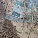 용한농장 이미지