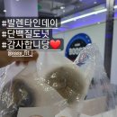프룻퐁당 이미지