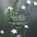 유독 이미지