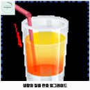 헤이, 댕댕 | 춘천시 애견카페 헤이댕댕애견카페 가격 및 후기 추천 리뷰 주차 예약 알아볼까요