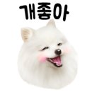 써피써피