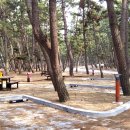 판다아울렛DC백화점 이미지