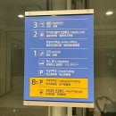 2월 인천공항 아침출발편 출국수속하기(소요시간, 면세수령,탑승동 음식점 및 편의시설 관련 정보)