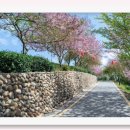 지에스25강릉남항진항점 이미지