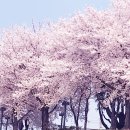 베스트음향 이미지