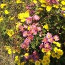 동혜농장 이미지