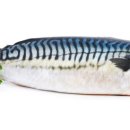 푸른수퍼 이미지