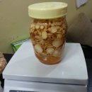 철든인삼