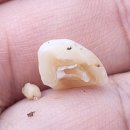 연수새움치과의원 이미지