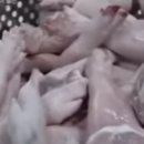 오늘족발 이미지