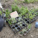 이든농장 이미지