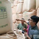 양곡유통 이미지