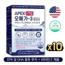 에버그린 이미지