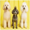 노티농장 이미지