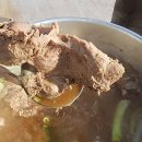 김진성농장 이미지