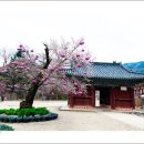 명재고택 이미지