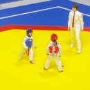 드림코리아 태권도 이미지