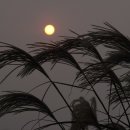 나의살던고향은 이미지