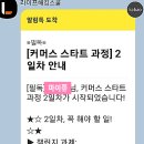 라이프커머스 - 성남시 분당구 | 라이프커머스
