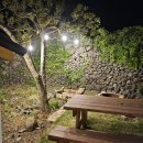 마롱스테이 이미지