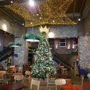 홀리크로스 이미지