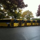 경희유치원 앞 이미지