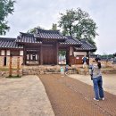 김제 관아와 회화나무 이미지