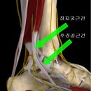 포시즌필라테스 이미지