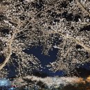 동신대학교 미래학사 앞 이미지