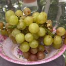 설매농장 | 폭망한 흐린 날 선라이즈 판랑투어 내돈내산 후기