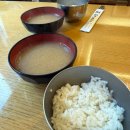 부루하나돈까스 | 을지로입구 맛집_@명동돈까스 코돈부루&히레가스