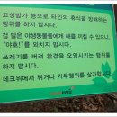 법원읍산림욕장 Daum카페
