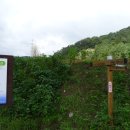 대전둘레산길(8구간) 이미지