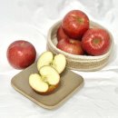 청암농장 | 과즙이 팡팡 터지는 평창 고랭지사과 추천 청암농장