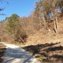 무릉도원면-3 이미지