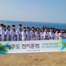 경희대 참 태권도 이미지