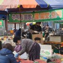 물회세상 이미지