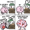 건.갤러리 이미지