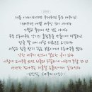 토요)교정요가 이미지