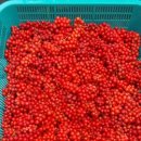 해솔농장 이미지