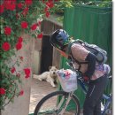 십동펜션 이미지