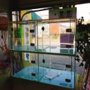 개똥아부탁해 이미지