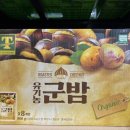 스탠다드 이미지