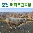 산기슭목장 이미지