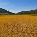 봉이농장 이미지