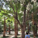 왕궁포레스트 이미지